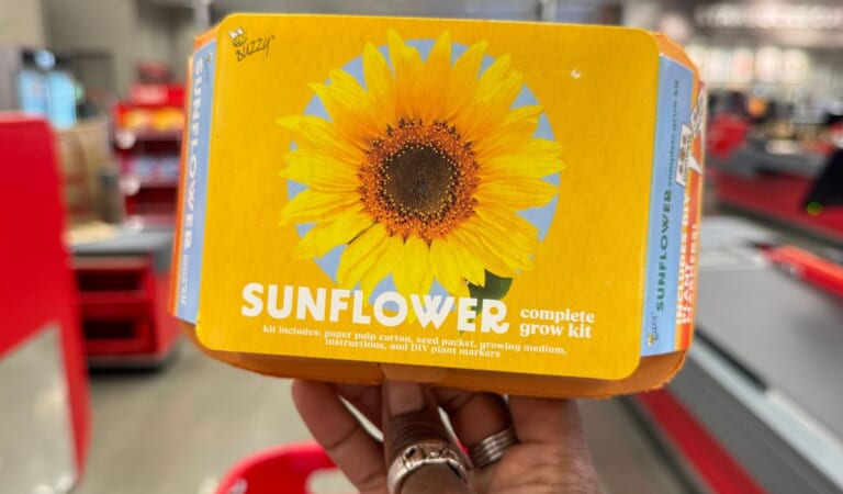 Grow Your Own Garden Kits Only $3 at Target | Fun Screen-free Activity!