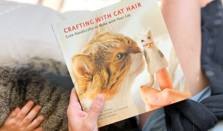 Use This Book To Learn How To Make Crafts From Your Cat’s Fur Balls (Costs Less Than $10!)