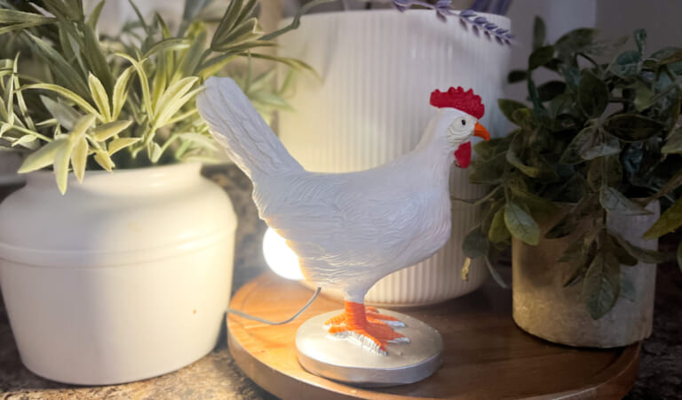 Under $20 Chicken Laying An Egg Lamp on Amazon (Unique Gift Idea!)