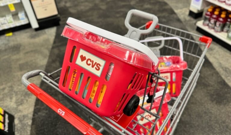 Kids CVS Shopping Cart w/ Wheels Only $19.99 – Filled with Play Food!