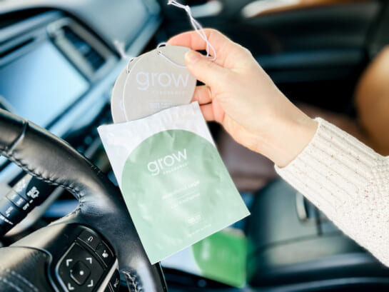 hand holding pack of grow fragrance car fresheners inside of car