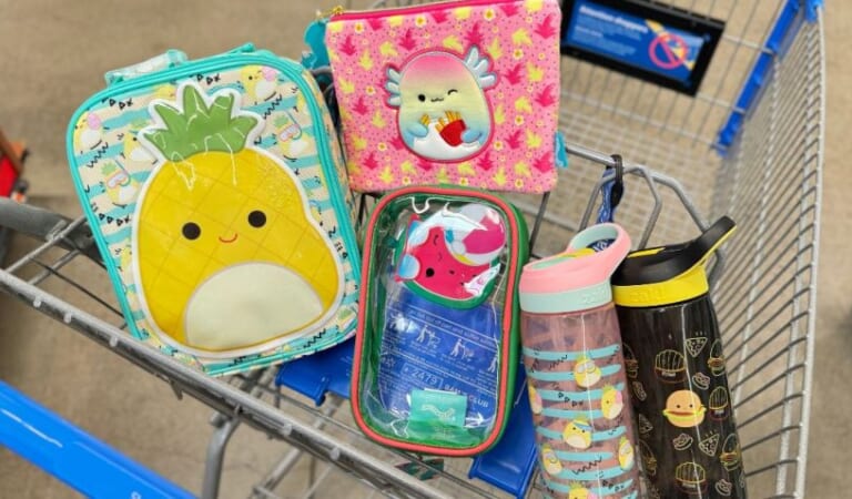 Walmart Has Adorable Squishmallows Accessories | Lunch Boxes, Water Bottles, & More!