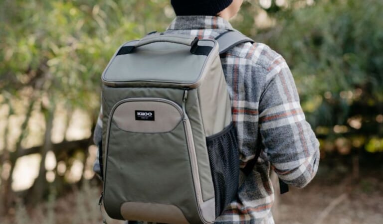 Igloo Soft-Sided Cooler Backpack Only $20.64 on Walmart.com (Reg. $63) | Holds 24 Cans