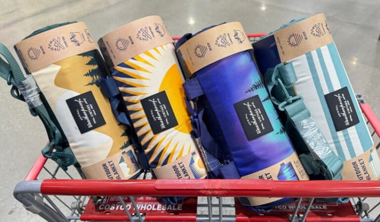 Costco Outdoor Blanket w/ Removable Strap Only $14.99 – 4 Design Choices